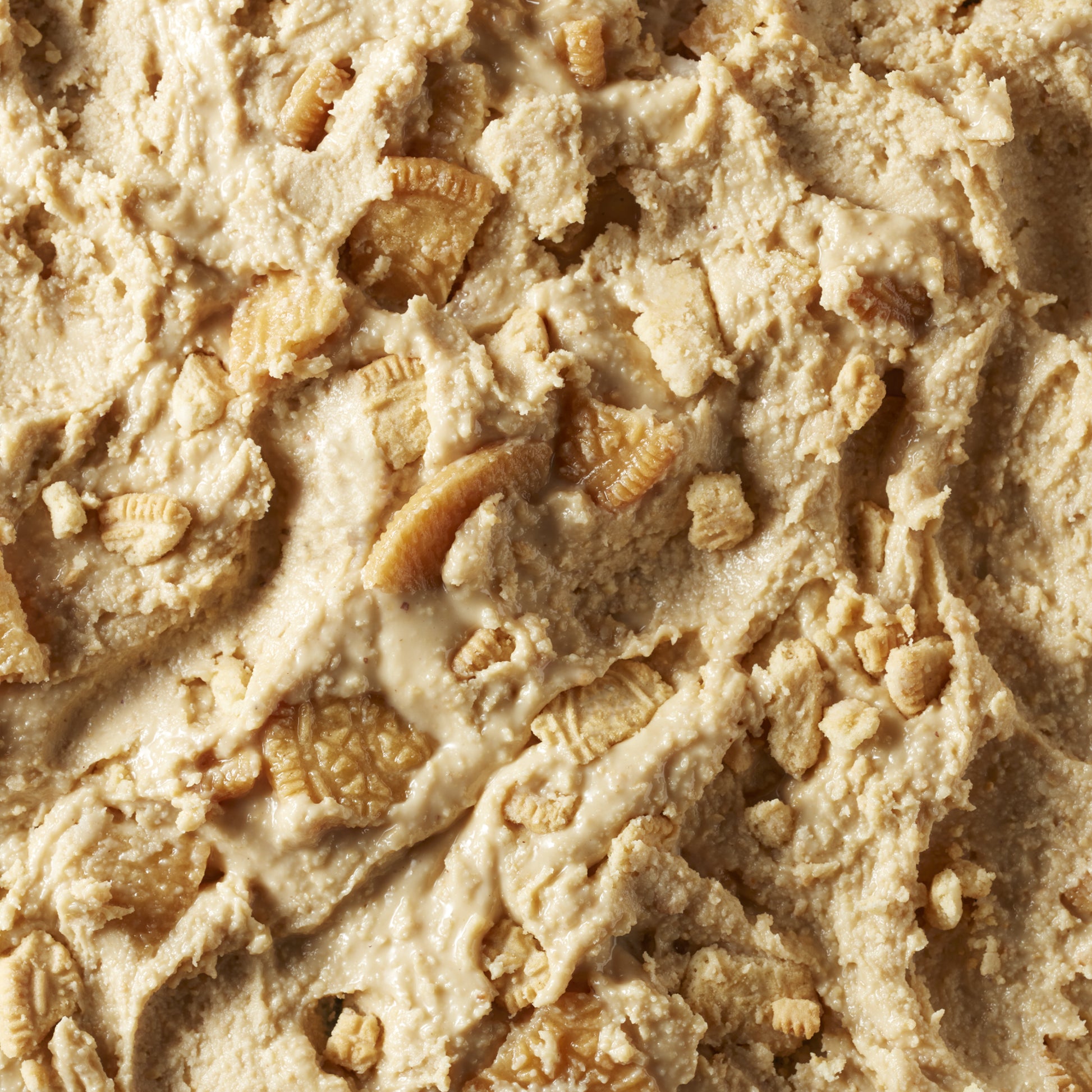 Golden Cream Cookie Cashew Butter